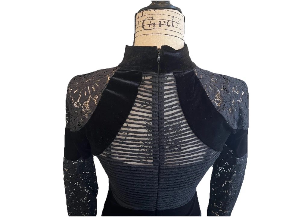 Tracy Reese Black Bodycon Mesh Lace Velvet Mock Neck Valentine’s Day Dress S/P - Изображение 3 из 4