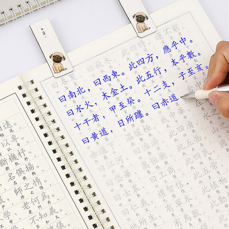 Traditional Chinese Copybook 硬笔繁体字练字帖台湾香港硬笔字帖常用