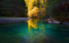 Landscape nature river forest water trees yellow green Custom Gaming Mat Desk
