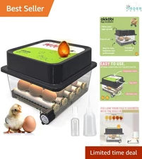 Egg Incubator 12 Eggs Automatic Turn Humidity Control All Ages Easy Use