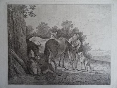 Tischbein - Eine Gruppe (Vieh)