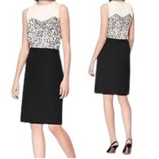 Ann Taylor LOFT Black Lace Filigree Sheath Dress Size 2 Sleeveless Knee Length