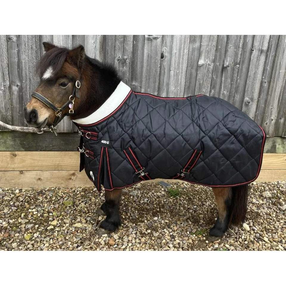 Ruggles Shetland-Miniatur-Esel-Sektion A 400g schwerer stabiler Teppich