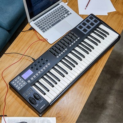 WORLDE PANDA49 Tragbarer 49-Tasten-USB-MIDI-Keyboard-Controller