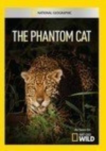 Phantom Cat / (DVD)