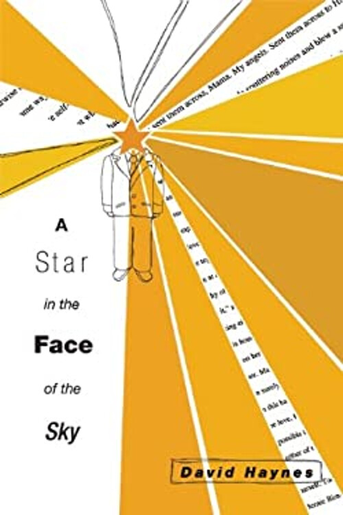 Star in the Face of the Sky Paperback David Haynes