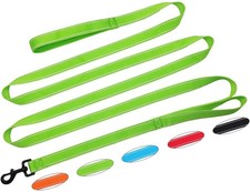 Green 10 FT 2 Handle Dog Leash Reflective Nylon,Traffic Handle,Large Medium Dogs