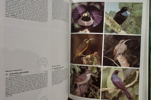 Australian Birds Simply Classified ~ Donald & Molly Trounson. 1998 HbDj in MELB - Picture 12 of 12
