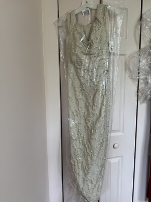 Off-the-shoulder stretch metallic dress in champagne.  NWT NEVER WORN