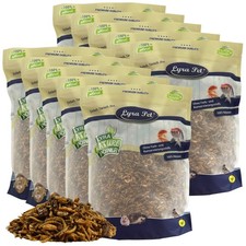10 kg Protein Boost Insekten Mix getrocknet Futter für Vögel Nager Lyra Pet®