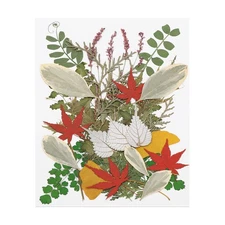 35 Pcs Dried Pressed Flower Leaves Bulk for Resin, Green Mix Colors