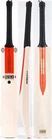 2026 Gray Nicolls Legend Silver Edition Junior Cricket Bat - Free P&P