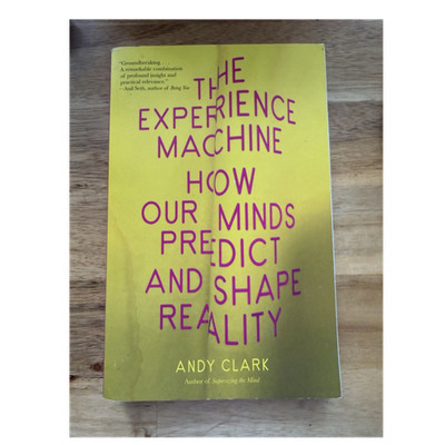 Andy Clark The Experience Machine: How Our Minds Predict & Shape Reality (2024)