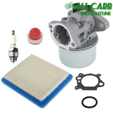 Carburetor for B & S 799868 799872 790821 498170 497586 498254