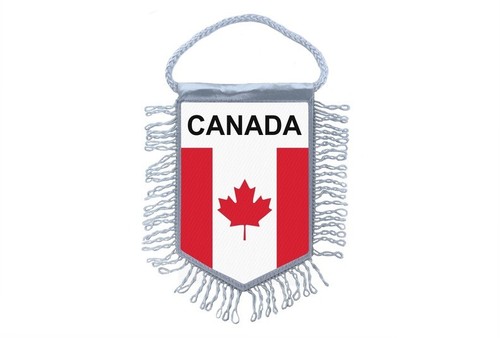 Mini Drapeau Fanion Guyane 15x10cm - Décoration Voiture Polyester Double Face