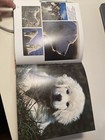 Foto 2 di 4