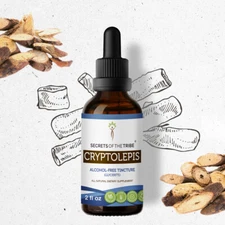 Secrets Of The Tribe Cryptolepis Tincture Alcohol-FREE