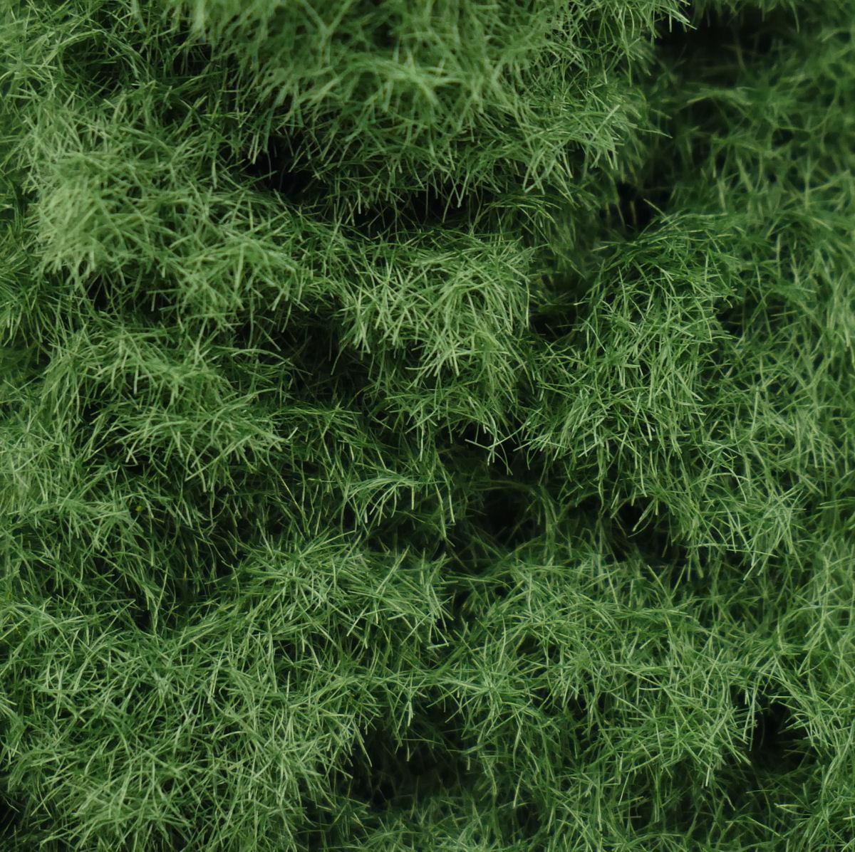 Gaugemaster GM172 2.5mm Static Grass, 30g Bag