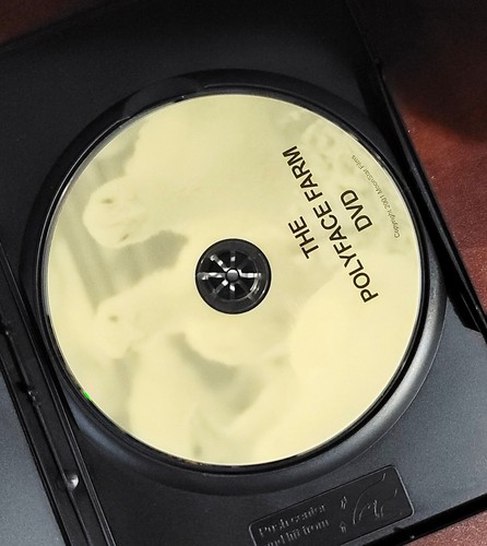 DVD's, DVD's, and more DVD's - You Pick, Just $5 - $15 Each - Picture 241 of 262