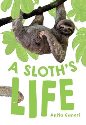 Big Cat for Little Wandle Fluency: A Sloth's Life By Ganeri, Ani