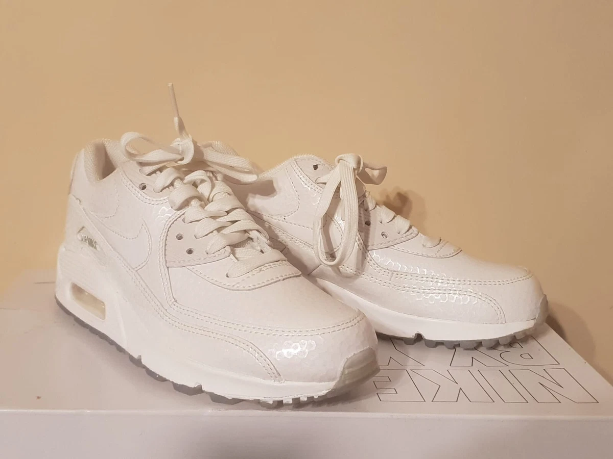 Wmns Nike Air Max 90 PRM Ice Pack UK 4 EUR 37.5 White Ice 443817