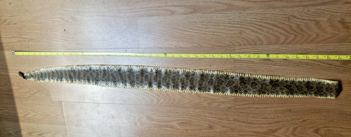 Rattlesnake Skin 44” Snake Skin With Rattle
