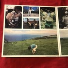 Picture 2 of 9