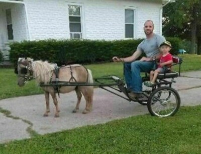 Enfants Sur Un Tour De Poney Image éditorial - Image du conduite, poney