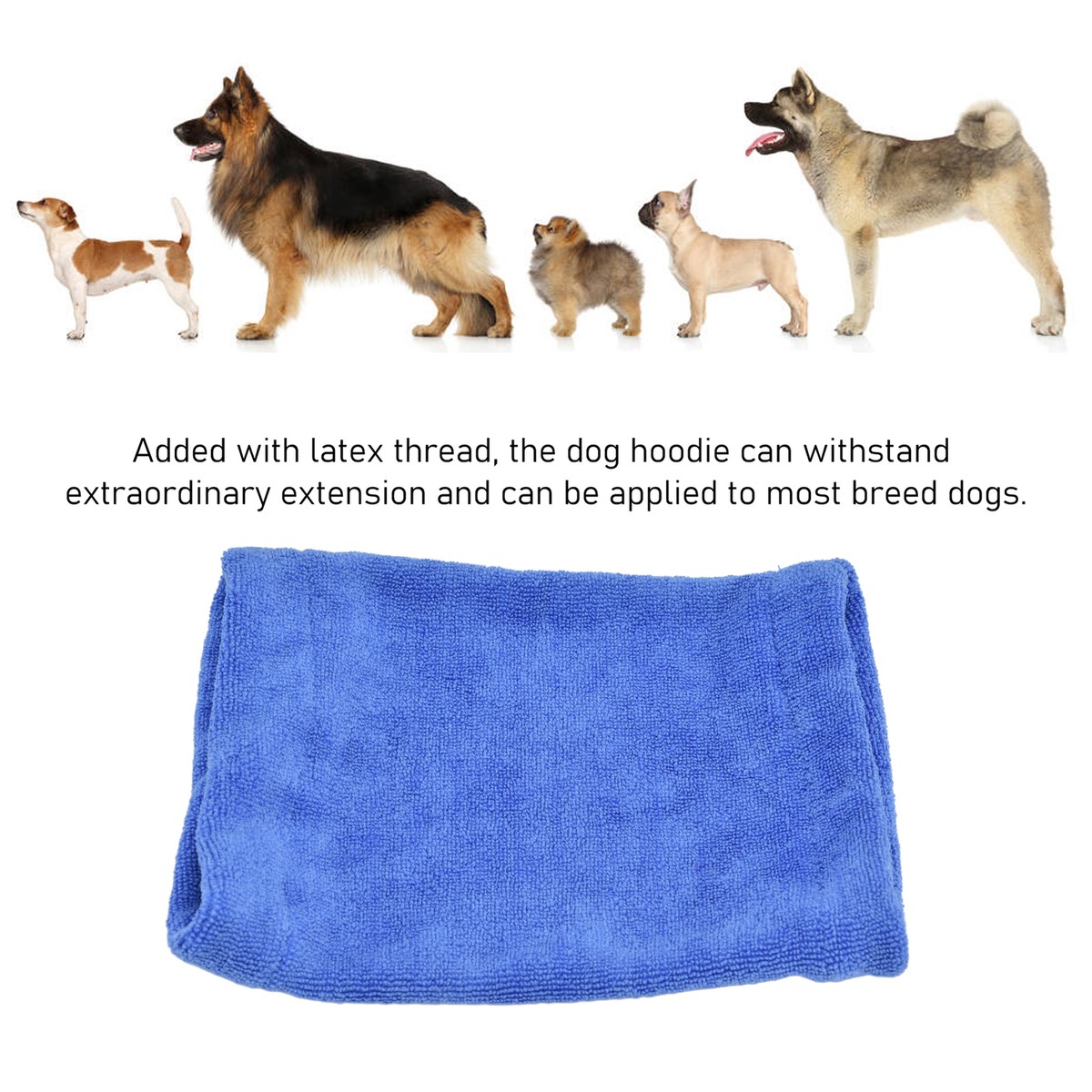 How To Keep Dog Ears Warm