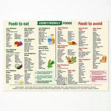 Kidney Friendly Food List Chart Poster, Kidney Awareness Diet Meal Guide Print f