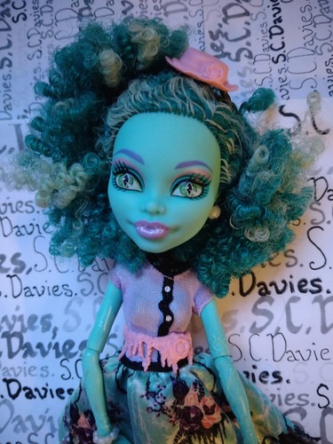 Monster High Honey Swamp Frights Camera Action - Picture 2 of 5
