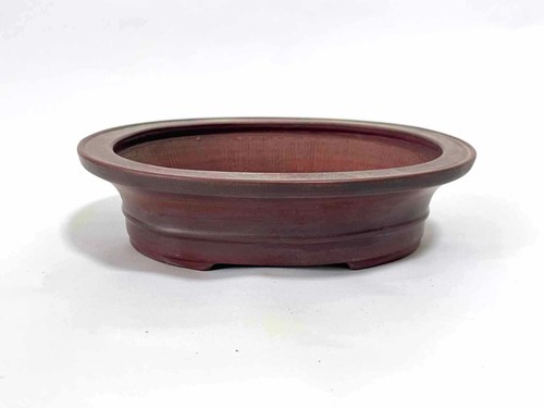 Japanischer Tokoname Bonsai Topf von BIGEI 16cm unglasiert oval - Bild 5 von 10