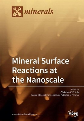 Mineral Surface Reactions at the Nanoscale by Christine V. Putnis (English) Pape
