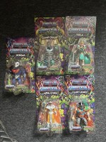 5x Turtles of Grayskull Figures TMNT MOTU Masters Universe