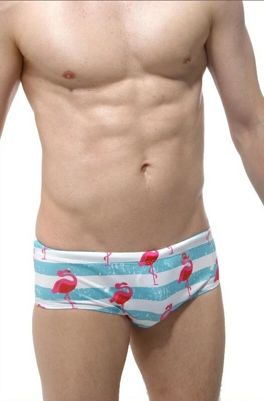 Maillot Homme Flamant Rose