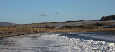 Photo 6x4 Garlieston Bay Picture of the ice floes on the shoreline and 6  c2010