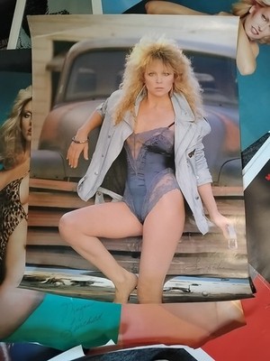 Vintage Lisa Hartman 1980's Car Garage poster man cave hot girl 19512