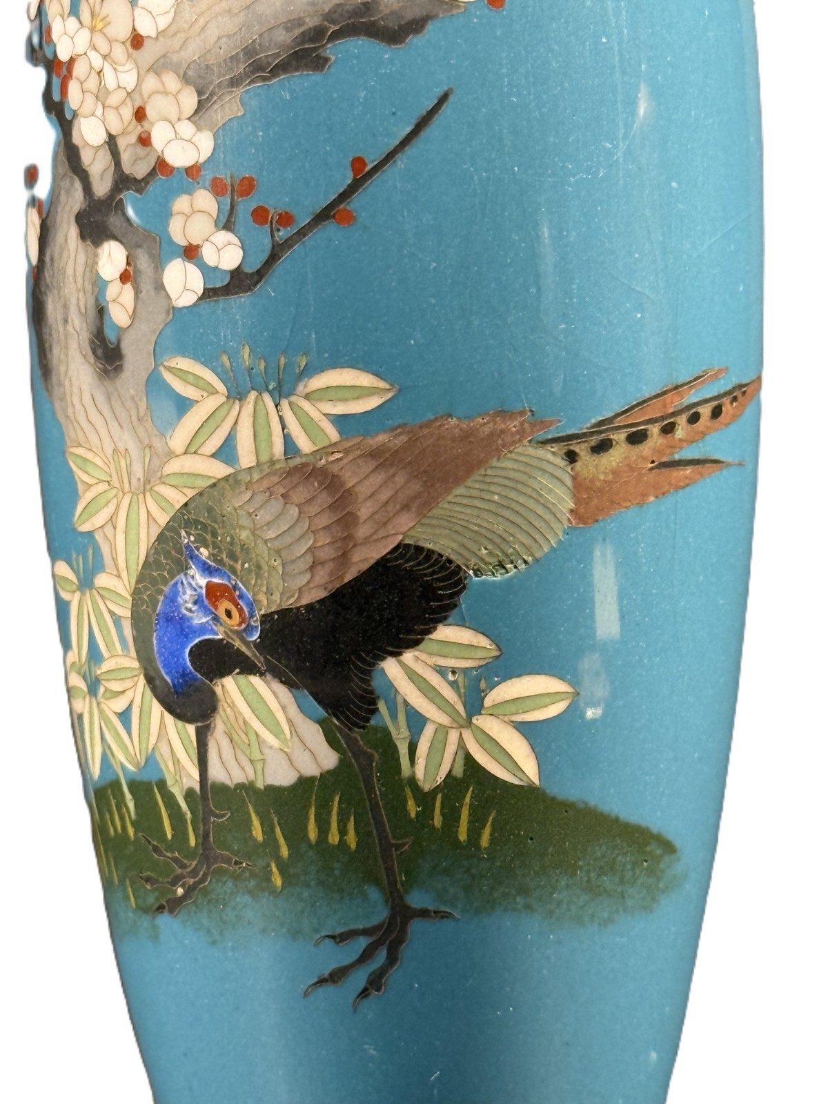Fine Japanese Meiji Cloisonné Vase – Pheasant & Plum Blossoms on Turquoise Groun