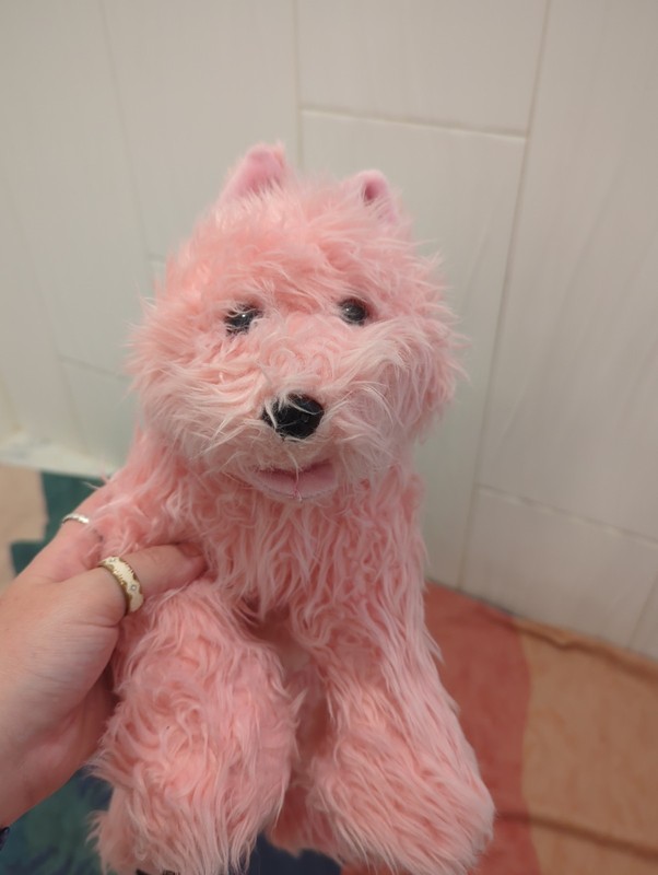 Build A Bear Terrier Pink Shaggy 