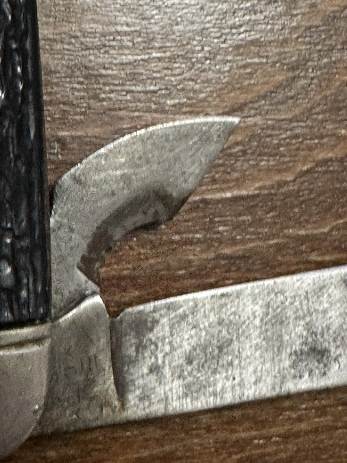 Bild 11 von 15