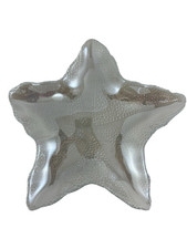 Pier 1 Imports Starfish Glass Plate Dish Textured Bottom Clear ~10"X10" Nautical
