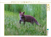Calvendo Puzzle Young Red Fox | 1000 Pieces, Finished Size 25.2 × 18.9 In (64 ×