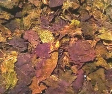 Perilla Dried Leaf ~ Red Shiso Herb Perilla frutescens ~ Organic Bulk Herbs TCM