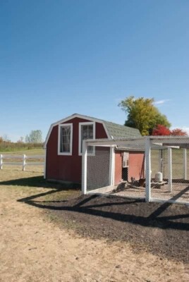 Poultry Chicken Coop Plans DIY 8' x 16' Backyard Barn Hen House Cage with Run