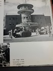 Picture 10 of 13