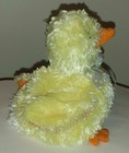 Bild 8 von 10