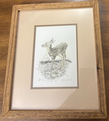 Michael Budden Framed Lithograph Spring Gift HP #3/40 Signed Artist Proof Q