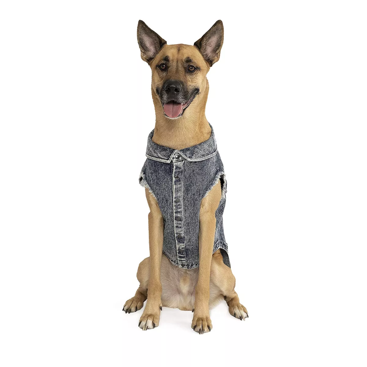 Denim shop dog vest
