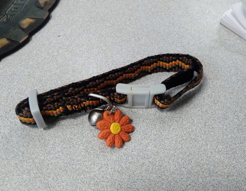 Hamilton Pixie Pet Collection 3/8" x 6-10" Dog/Cat Collar - Picture 6 of 9