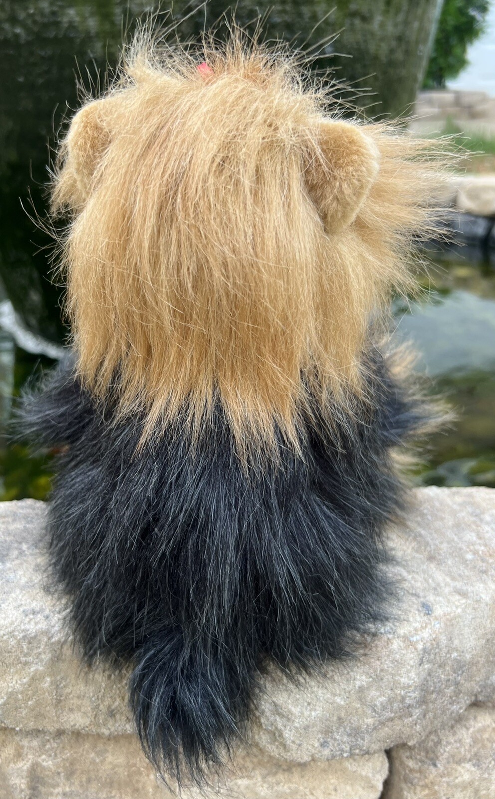 Picture 5 of 6